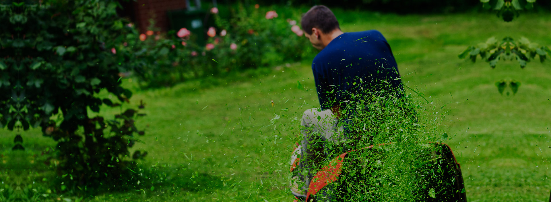 Irrigation system repair and landscape enhancement on a Tampa property