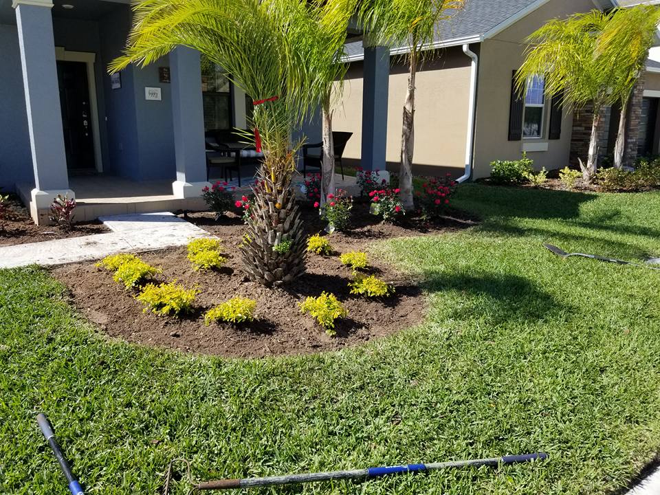 Landscaping crew restoring a residential lawn after hurricane damage near Tampa, FL