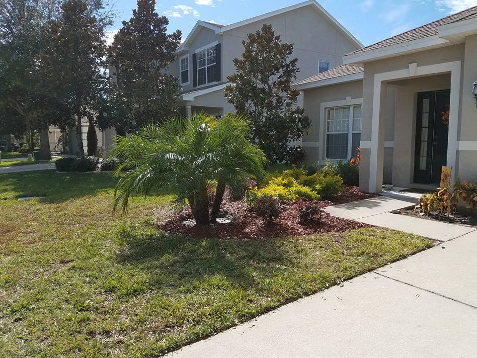 Seasonal property cleanup and trimming service in Wesley Chapel, FL