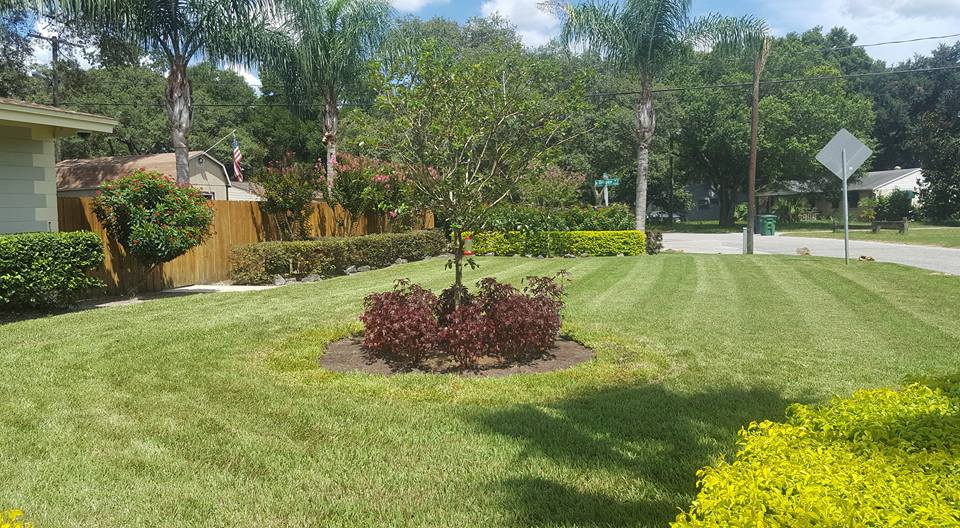 Commercial grounds care, property manager account Central Florida