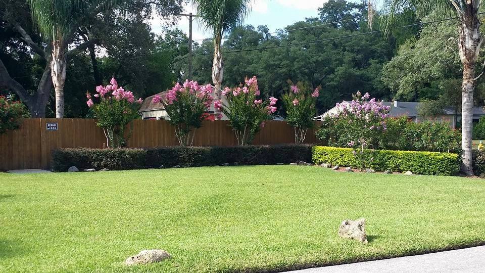 Irrigation and drainage grading, residential Land O' Lakes FL