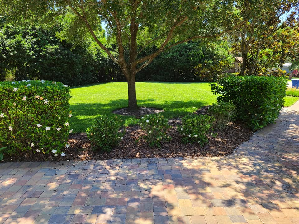Lawn maintenance and edging, Land O' Lakes FL