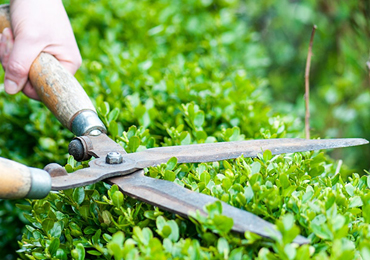 Landscape maintenance and irrigation repair, Tampa FL