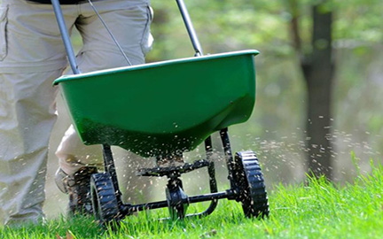 Lawn maintenance and ongoing care program in Central Florida