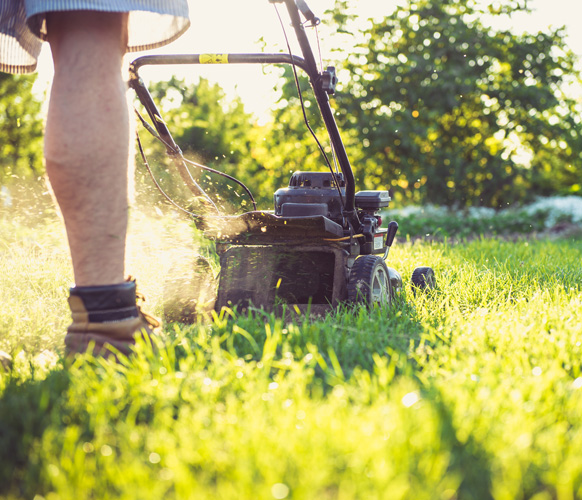 Tree trimming and removal service in Central Florida