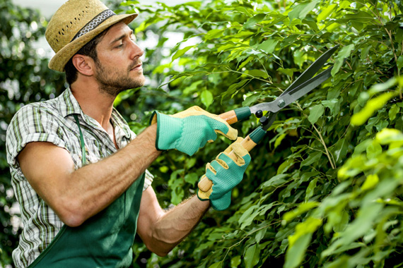 Commercial and HOA landscape maintenance programs in Central Florida